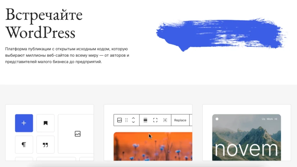 разработка сайта на wordpress-настройка wordpress-wordpress или tilda что выбрать