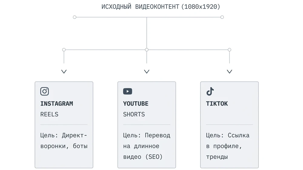 Как продвигать бизнес через Reels и Shorts в 2026 году без бюджета